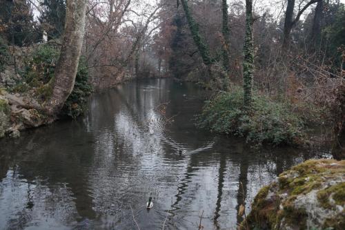 Парк в Милане_06.JPG