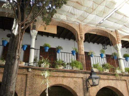 SDC10448.JPG