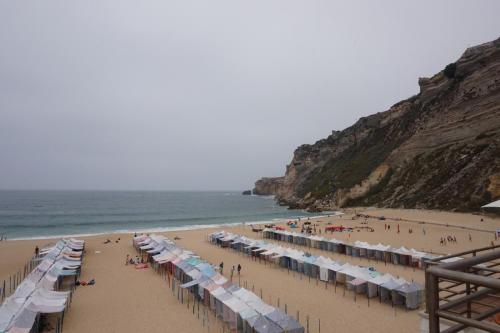 DSC04571 - копия.JPG