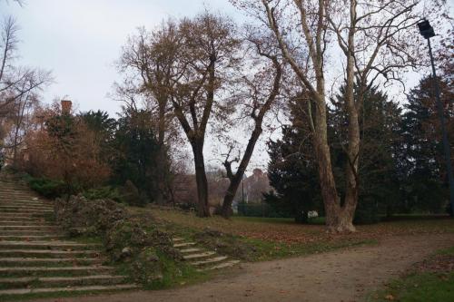 Парк в Милане_03.JPG