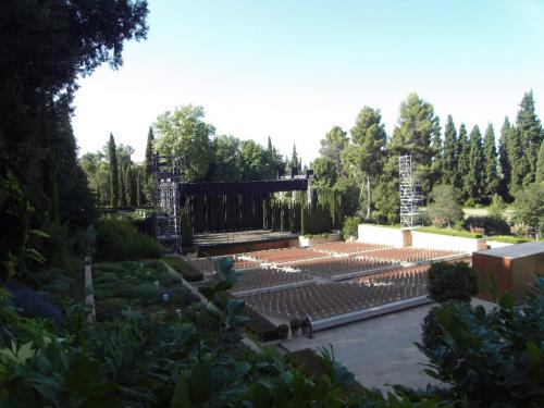 SDC10307.JPG