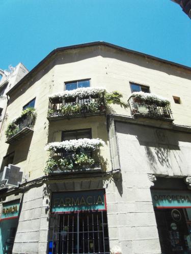 SDC12004.JPG