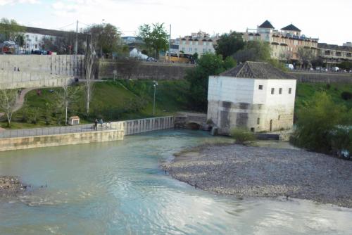 SDC11229.JPG