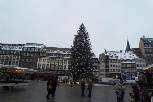 SDC13698.JPG