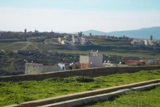 SDC11045.JPG