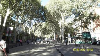 SDC11320.JPG