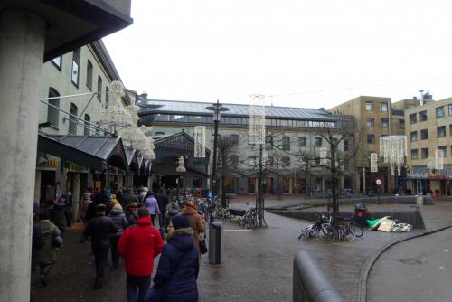 SDC10314.JPG