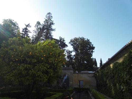 SDC10282.JPG