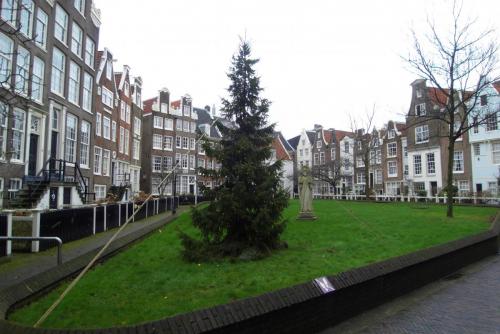 SDC10360.JPG