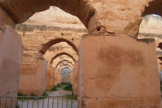 SDC11048.JPG