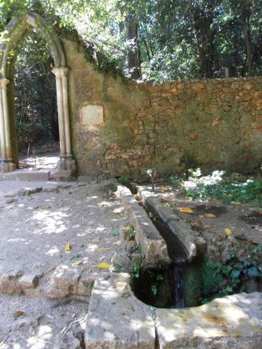 SDC11260.JPG