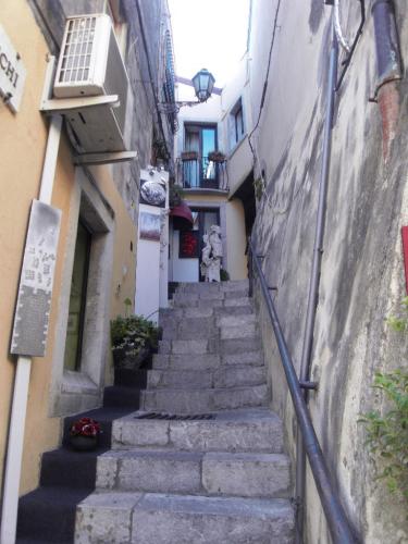 SDC11087.JPG
