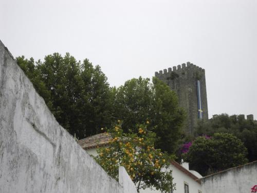 SDC11022.JPG