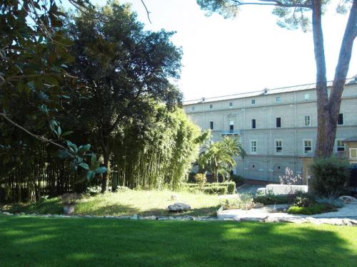 SDC10151.JPG