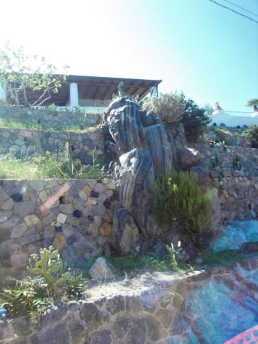SDC11189.JPG