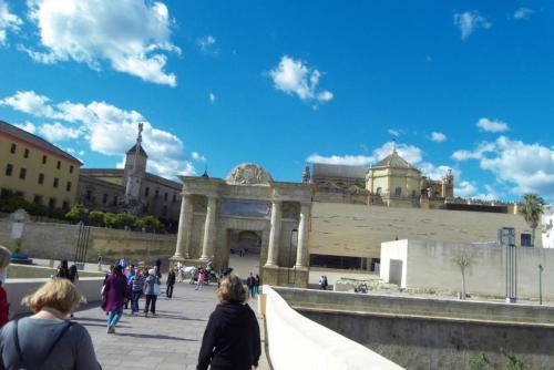 SDC11209.JPG