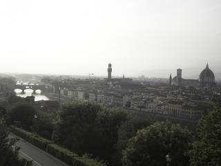 SDC12667.JPG
