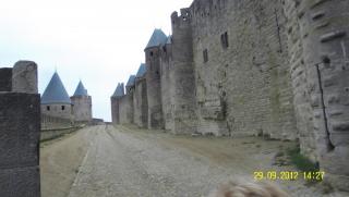 SDC12048.JPG