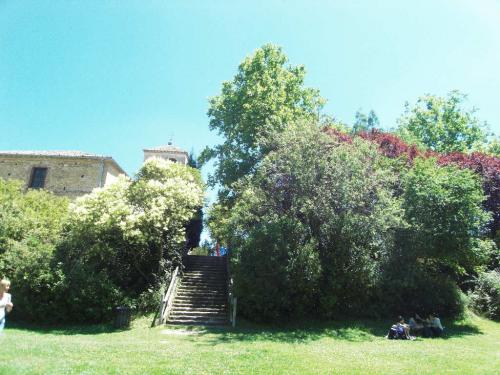 SDC11953.JPG