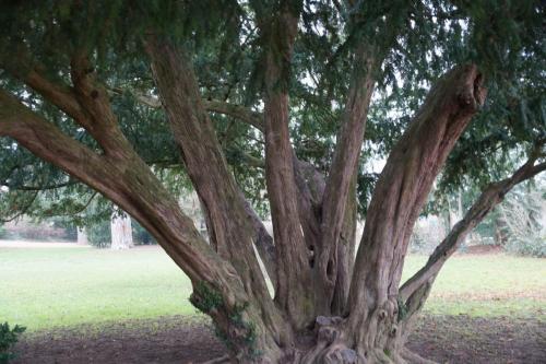 08_Аббатство Клюни_006.JPG