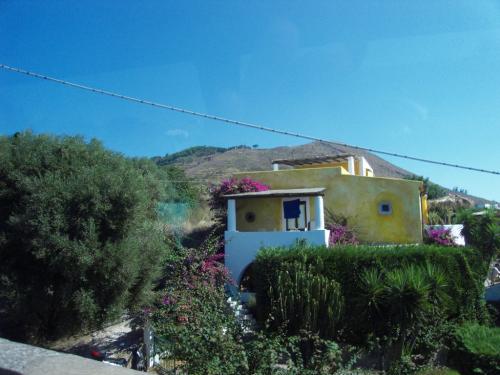 SDC11170.JPG