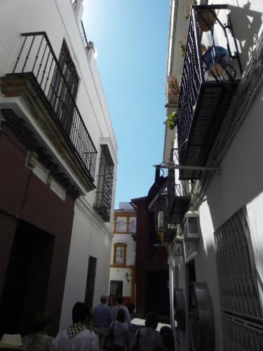 SDC10646.JPG