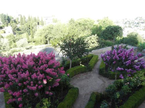 SDC10275.JPG