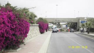 SDC10350.JPG