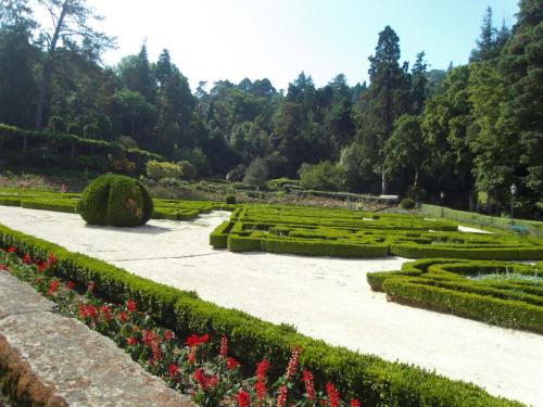 SDC11321.JPG