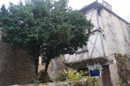 20_Сен сирк Лапопи_068.JPG