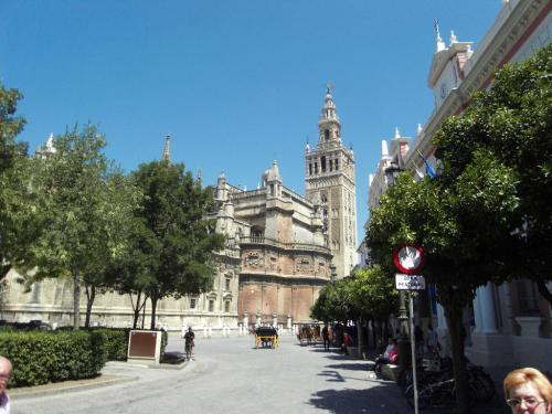 SDC10682.JPG