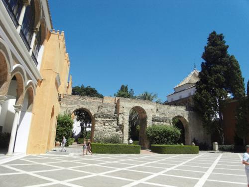 SDC10693.JPG