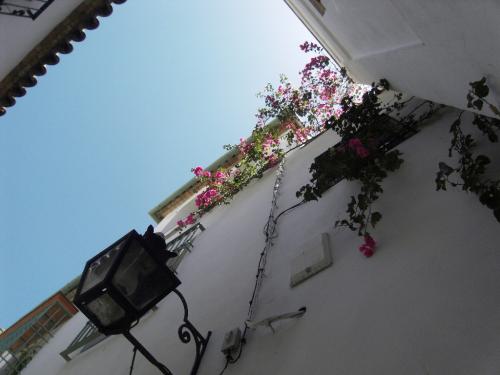 SDC10463.JPG
