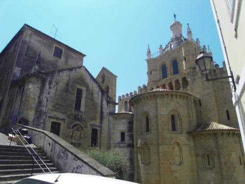 SDC11203.JPG