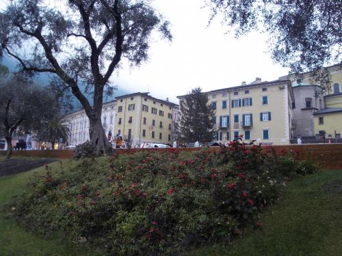 SDC12671.JPG