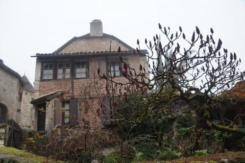 20_Сен сирк Лапопи_058.JPG