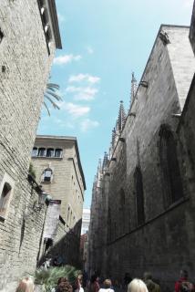 SDC11645.JPG