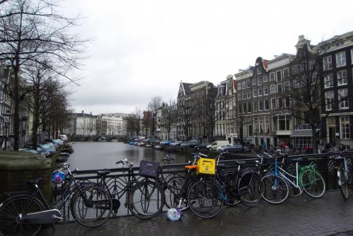 SDC10341.JPG