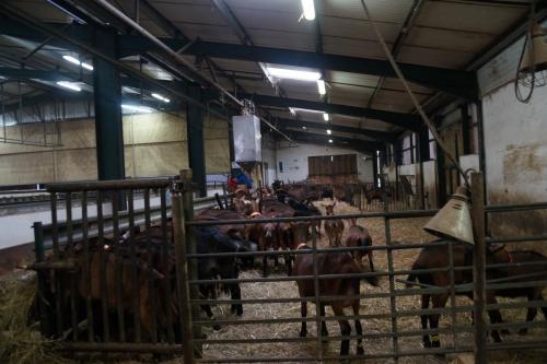 17_Козья ферма_002.JPG