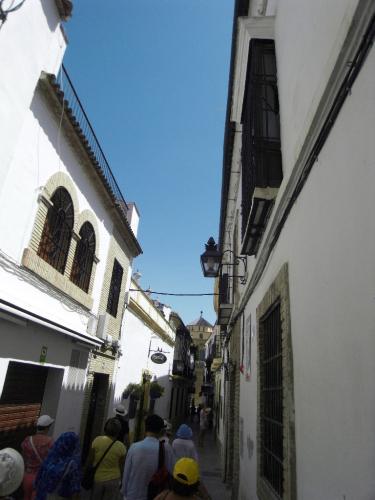 SDC10465.JPG
