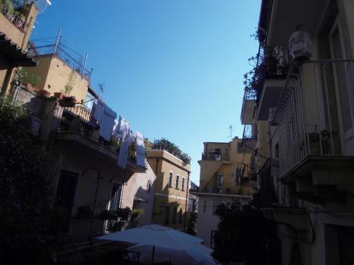 SDC11021.JPG