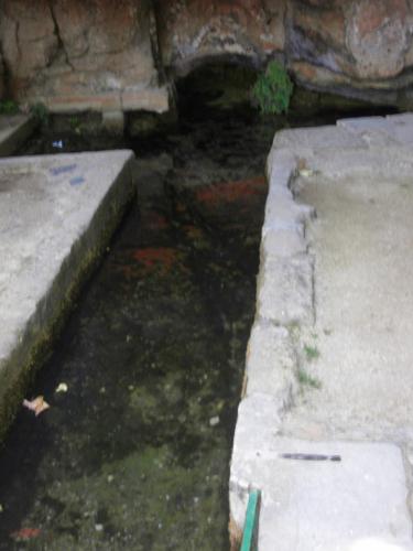 SDC11251.JPG