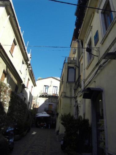 SDC10975.JPG