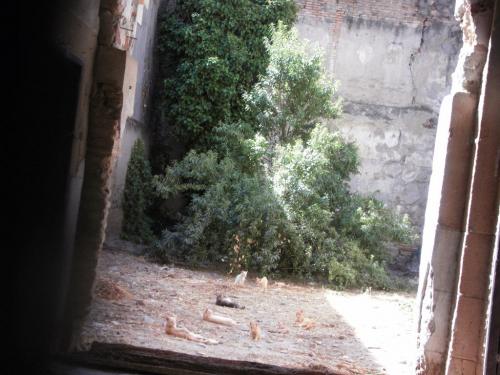 SDC10176.JPG