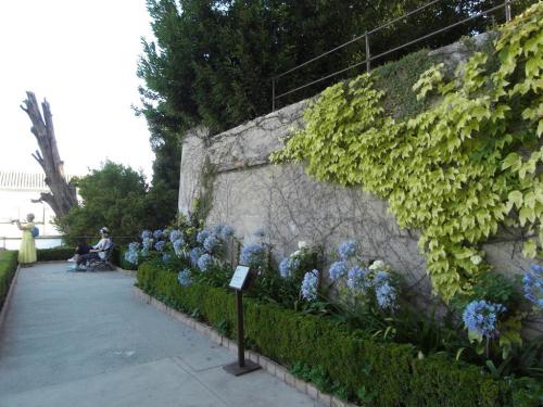 SDC10290.JPG