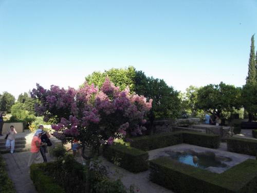 SDC10256.JPG