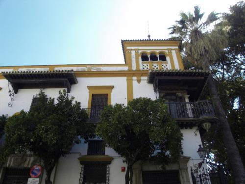 SDC10634.JPG