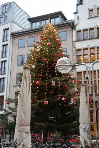 IMG_9353.JPG