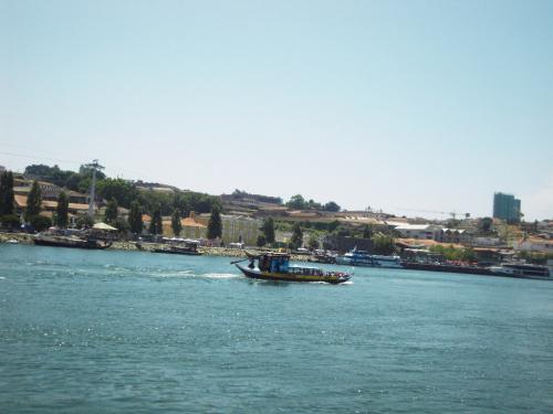 SDC11672.JPG