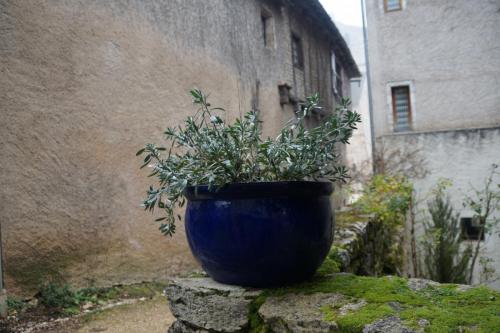 20_Сен сирк Лапопи_085.JPG